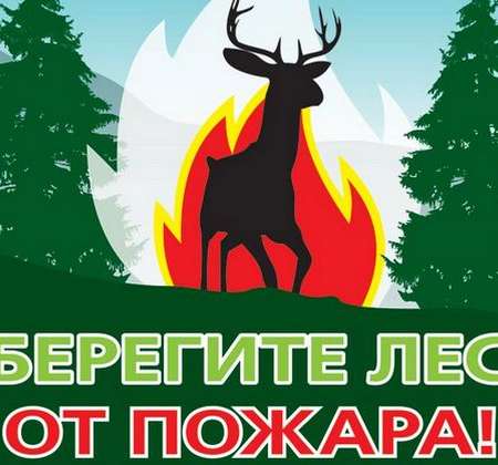 Акция «Берегите лес от пожара!»